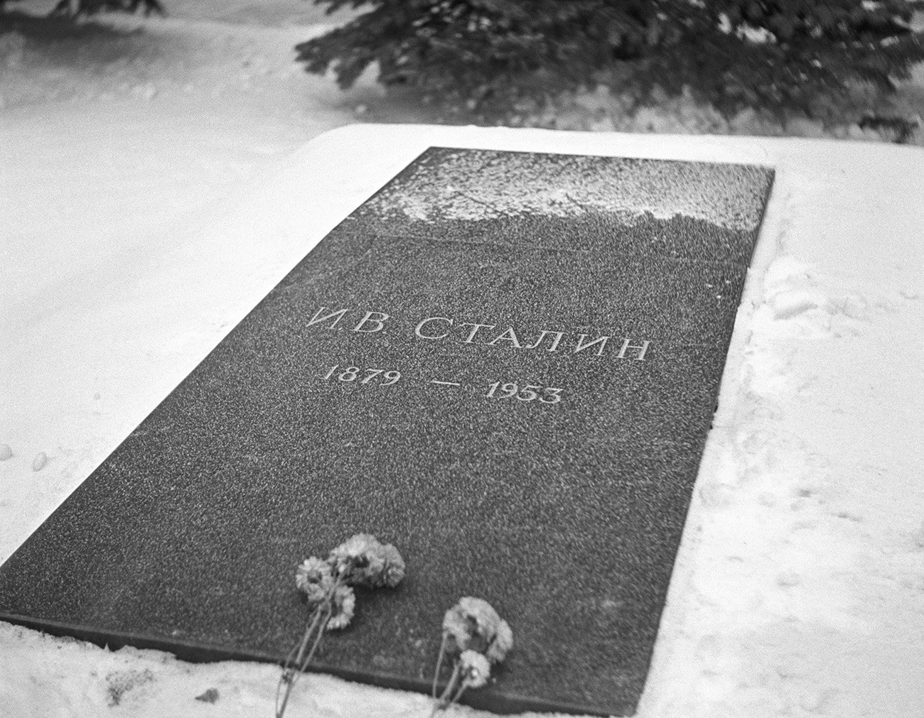гурковс.jpg