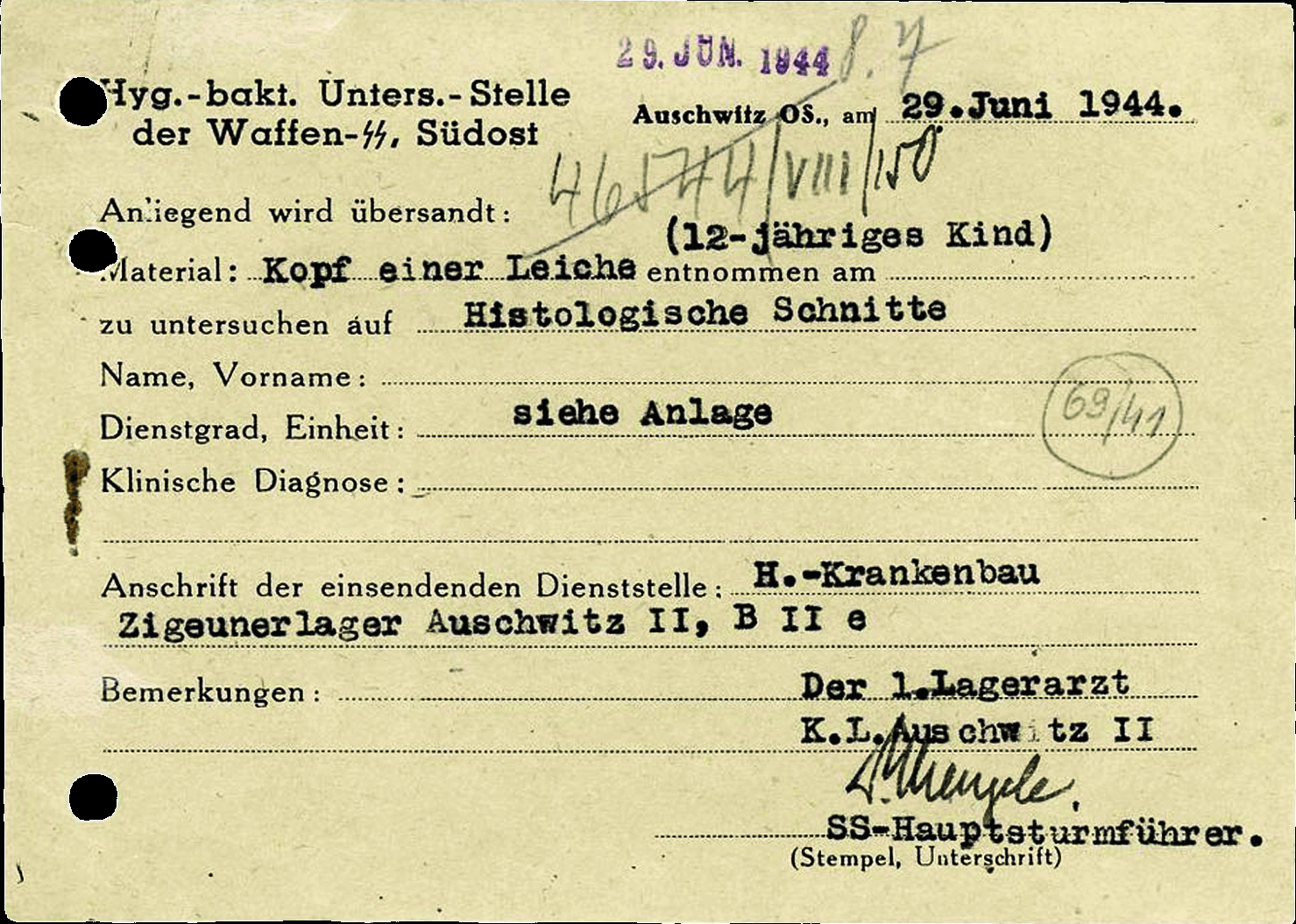 lagerarzt-dr-josef-mengele-übersendet-den-kopf-eines-12jährigen copy 1.png