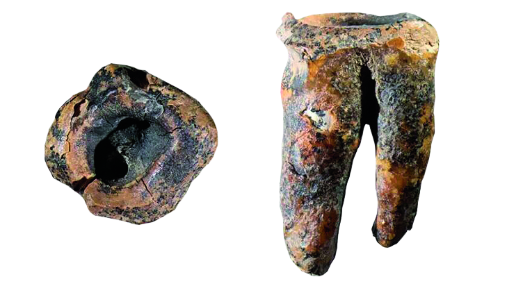 scale_2400_1.png